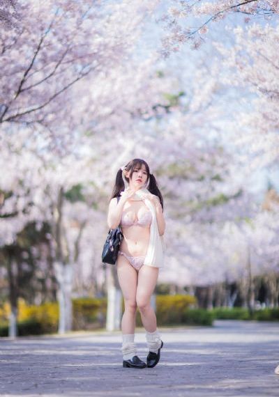 电视剧赘婿免费观看完整版_BD国语免费观看韩国
