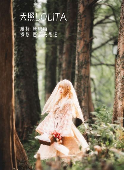 电视剧心术_HD免费在线观看